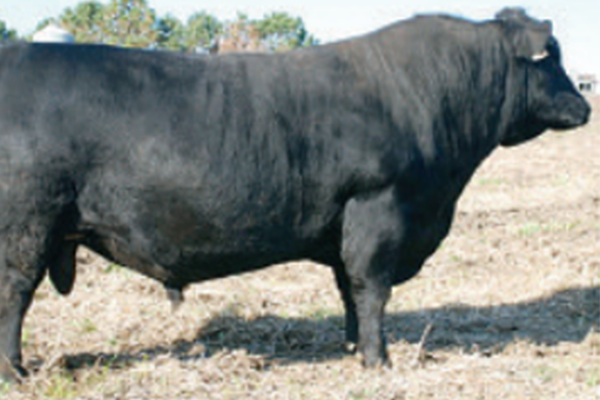 toros_prototype_3